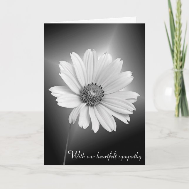 Sympathy White Cosmos on Black Card (Front)
