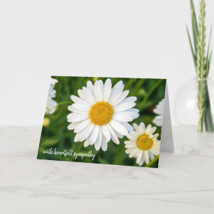 sympathy white daisy card