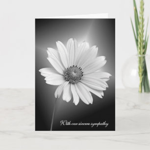 Sympathy White Daisy With Light Beams Card
