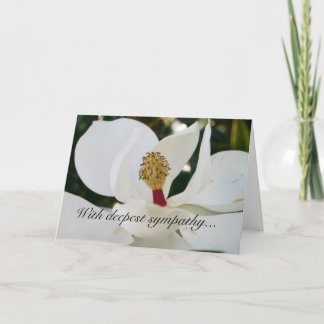 Sympathy white magnolia flower floral cards