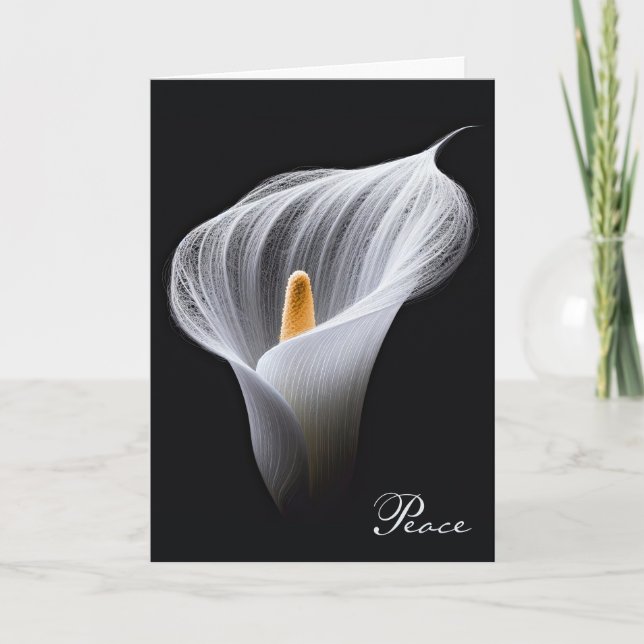Sympathy White Peace Lily On Black Card (Front)