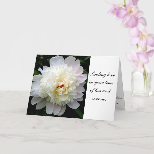 Sympathy White Peony Card (Orchid)