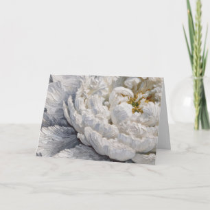 Sympathy White Peony Impasto Painting Card