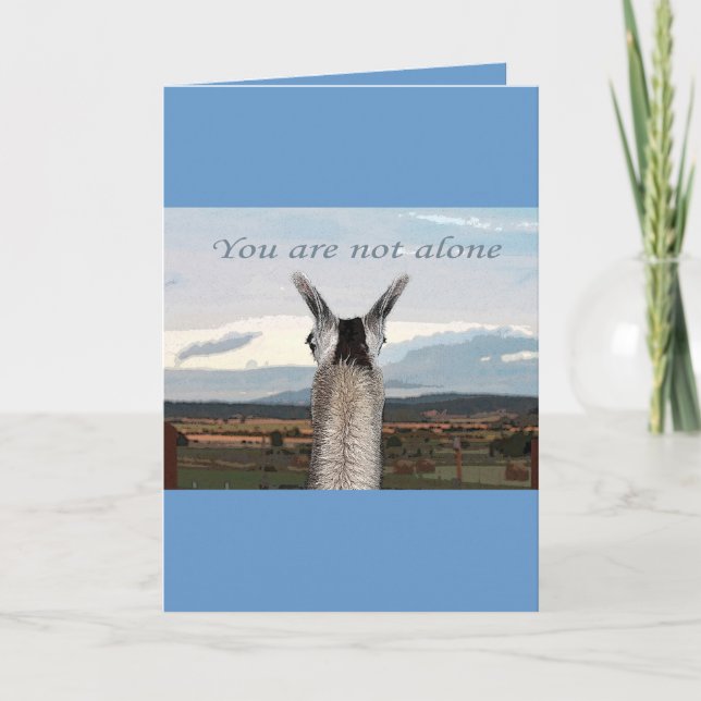Sympathy: You Are Not Alone Llama Card (Front)