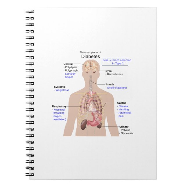 Symptoms of Diabetes Notebook (Front)