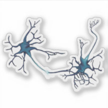Synapse Between Neurons, Neuroscience Neuron
