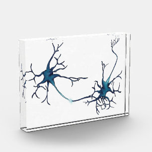 Synapse Between Neurons, Neuroscience Neuron Photo Block