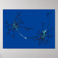 Synapse Between Neurons, Neuroscience Neuron