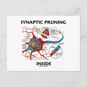 Synaptic Pruning Inside Neuron Synapse Geek Humour Postcard