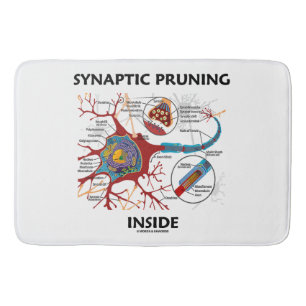 Synaptic Pruning Inside Neuron Synapse Neurology Bath Mat