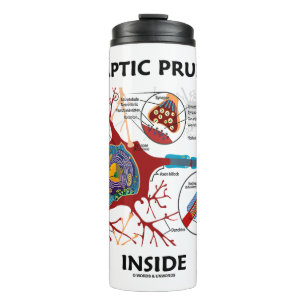 Synaptic Pruning Inside Neuron Synapse Neurology Thermal Tumbler