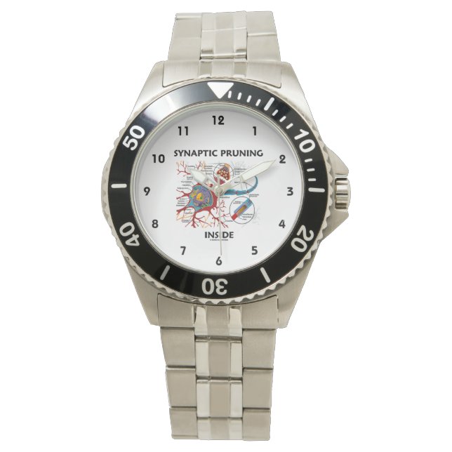 Synaptic Pruning Inside Neuron Synapse Neurology Watch (Front)