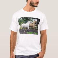 Synchronised Horses