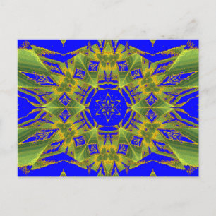 SYNERGY JASMINE 10 POSTCARD