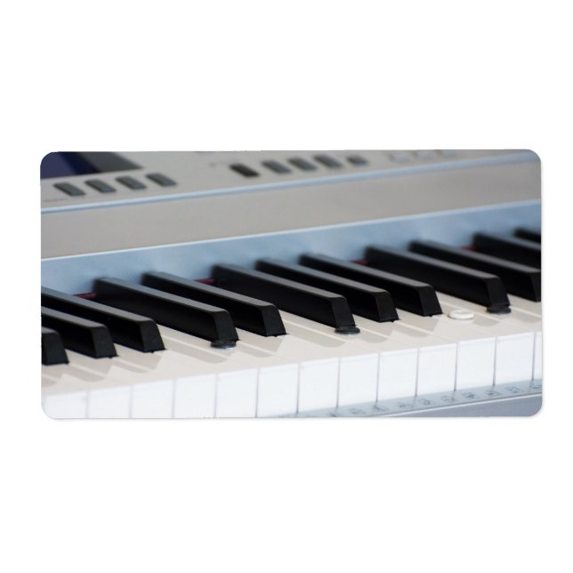 Synthesizer keyboard (Front)