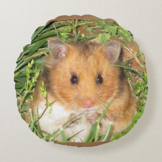 Syrian hamster round cushion