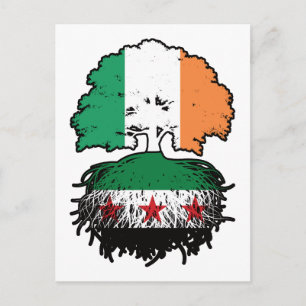 Syrian Irish Roots and Crown Tree Postcard