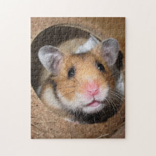 Syrian Pet Hamster - Standard Hamster - Teddy Bear Jigsaw Puzzle