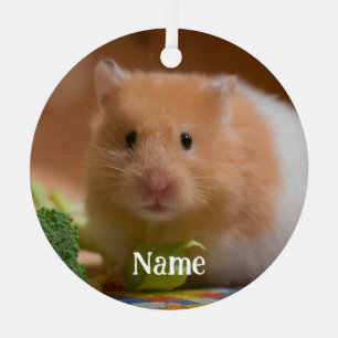 Syrian Pet Hamster - Standard Hamster - Teddy Bear Metal Tree Decoration