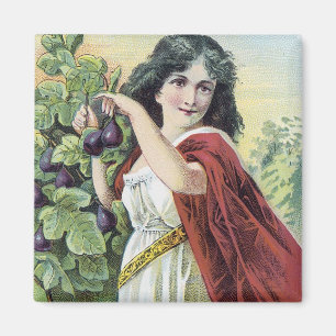 Syrup of Figs Natures Pleasant Laxative Magnet