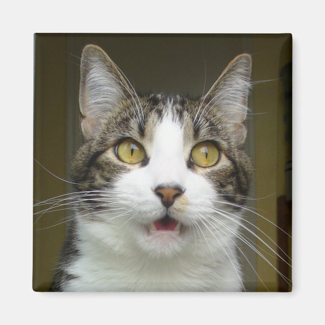 Syrus Shocked Magnet 0001 (Front)