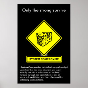 System Compromise Security Awareness Poster