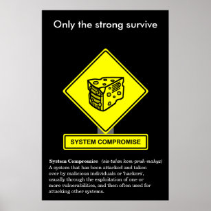 System Compromise Security Awareness Poster