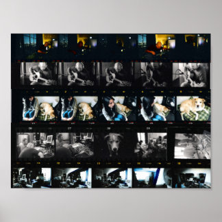 Systematic Chaos 11" x 8.5", Value Poster Paper