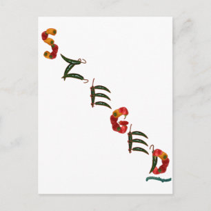 Szeged Chilli Peppers Postcard