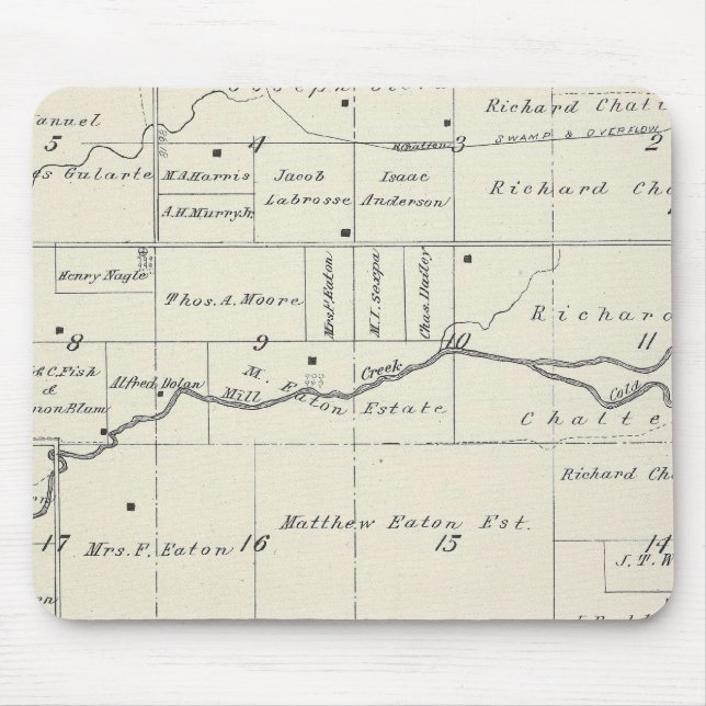 T19S R23E Tulare County Section Map Mouse Pad (Front)