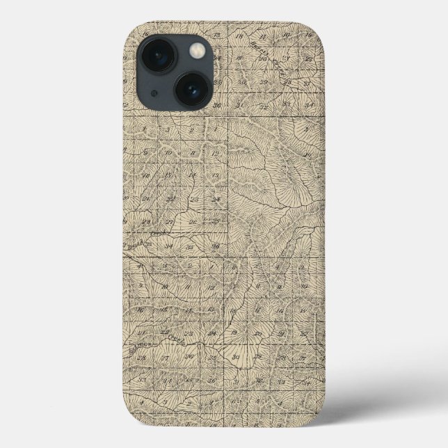 T2124S R3235E Tulare County Section Map Case-Mate iPhone Case (Back)