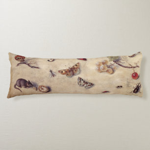 T31566 A Study of Various Insects, Fruit and Anima Body Cushion
