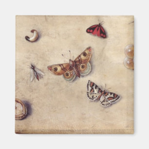 T31566 A Study of Various Insects, Fruit and Anima Magnet
