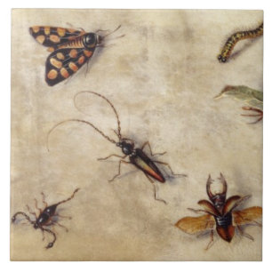 T31567 A Study of Various Insects, Fruit and Anima Ceramic Tile