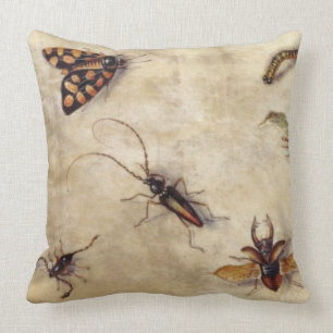 T31567 A Study of Various Insects, Fruit and Anima Cushion