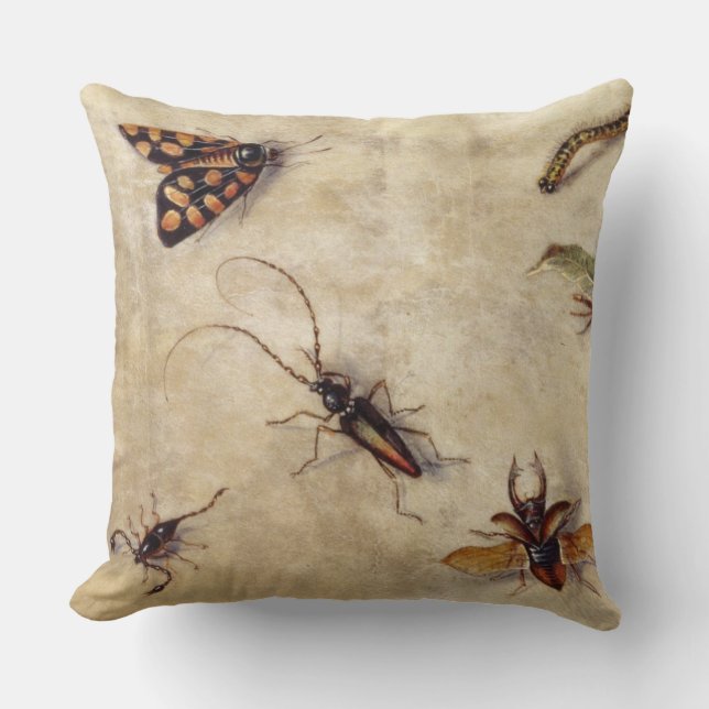 T31567 A Study of Various Insects, Fruit and Anima Cushion (Front)