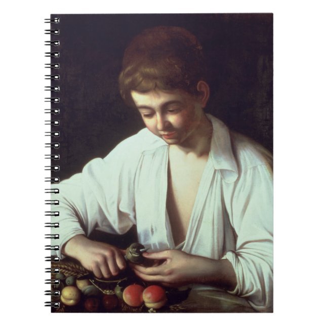 T31971 A Young Boy Peeling an Apple Notebook (Front)