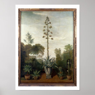 T33047 A Botanical Garden Poster