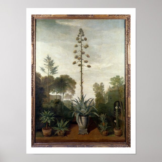 T33047 A Botanical Garden Poster (Front)