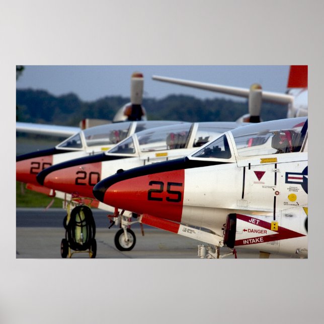 T-2 Buckeyes Poster (Front)