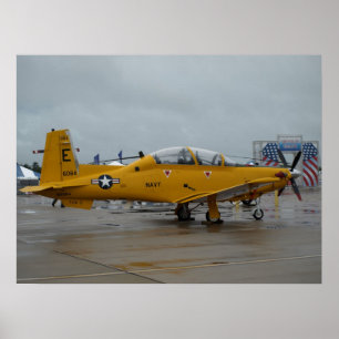 T-6A Texan II Centennial of Naval Avaiation. Poster