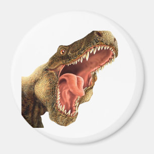 T-REX Dinosaur Locker Magnets, Refrigerator Magnet