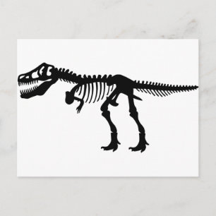 T Rex Dinosaur Skeleton Postcard