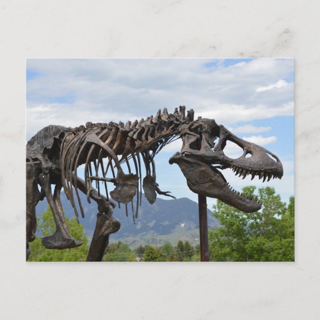 T-Rex Postcard (Front)
