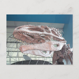 T-Rex Postcard