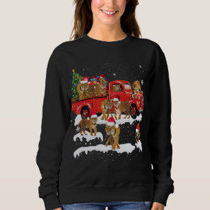 T-rex Riding Red Truck Christmas Tree Believe Sant Sweatshirt