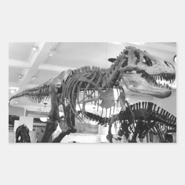 T-Rex Skeleton Pencil Rectangular Sticker (Front)