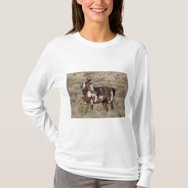  T-Shirt (Front)