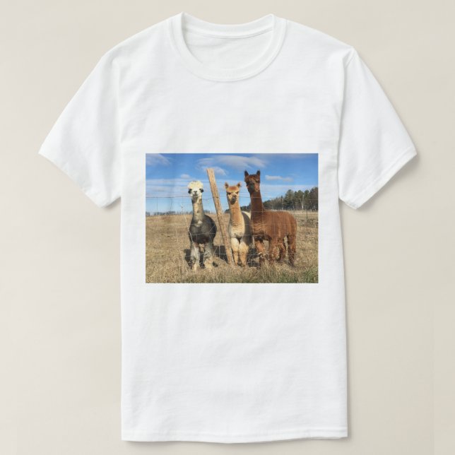 T-Shirt - Alpacas Phaethon, Barley, & Marvin (Design Front)