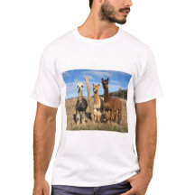 T-Shirt - Alpacas Phaethon, Barley, & Marvin
